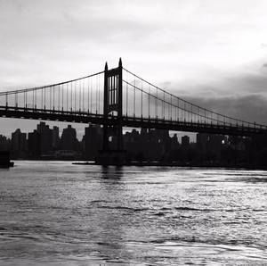 Meet your Posher, Mohamed